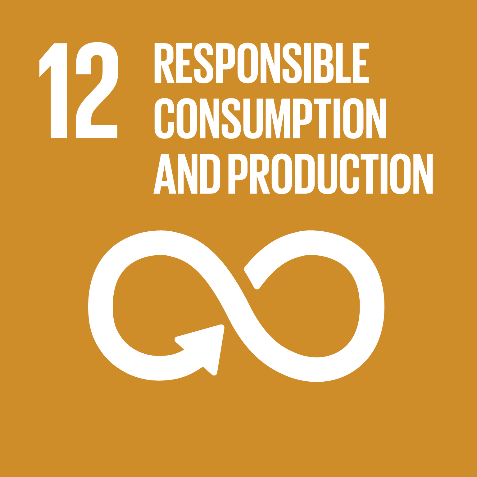 imgs\SDG 12